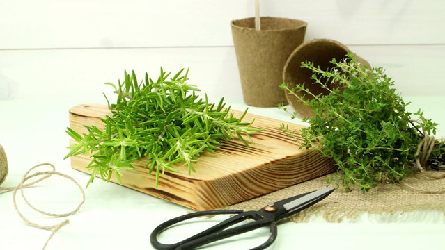 Fresh Rosemary and Thyme Herbs on a Wooden Board