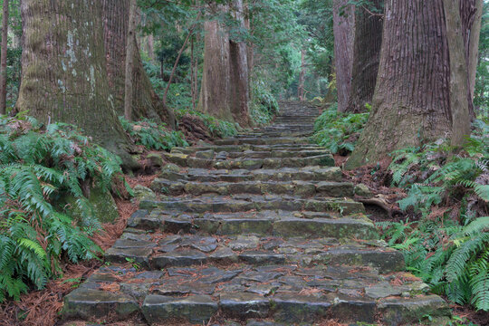 熊野古道大門坂