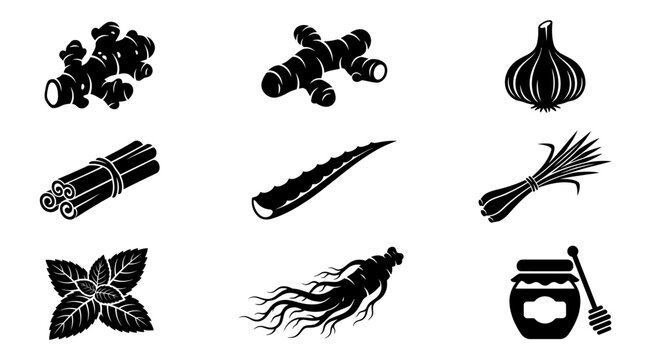 a detailed silhouette vector icon set of 9 traditional herbal ingredients including ginger root, turmeric root, garlic bulb, cinnamon stick, aloe vera leaf, lemongrass, mint leaves, ginseng root