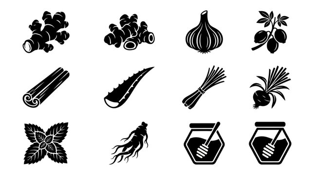a detailed silhouette vector icon set of 9 traditional herbal ingredients including ginger root, turmeric root, garlic bulb, cinnamon stick, aloe vera leaf, lemongrass, mint leaves, ginseng root