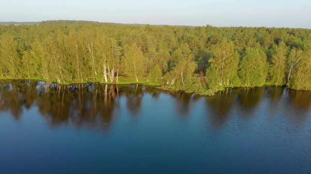 4K aerial drone shot captures a stunning, tranquil natural landscape in Lithuania, Eastern Europe, during the bright summer or spring season. The view shows dense, lush green birch and pine forests li