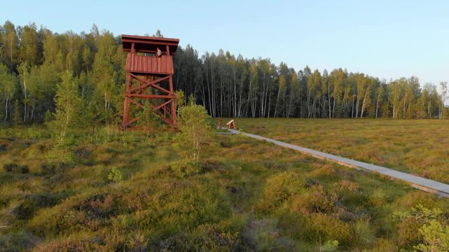 Drone shot capturing the serene landscape of the Mū&scaron;os Tyrelio nature reserve in Lithuania. The footage features a red wooden observation tower and a winding boardwalk path that cuts through the vibra