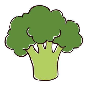 vector illustration of a tree with green leaves
