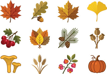 Fototapeta premium Autumn nature elements collection featuring colorful leaves, berries, mushrooms, pumpkin, pine branch, wheat, and botanical seasonal vector icons