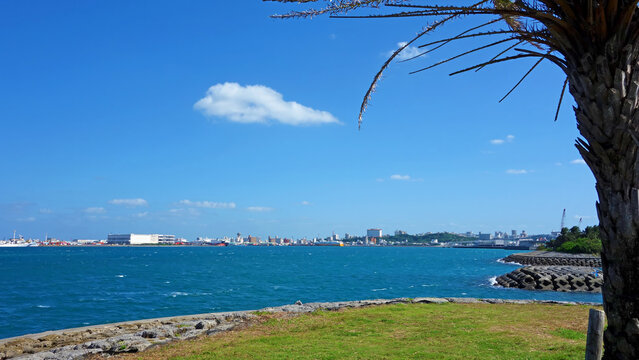 那覇うみそら公園 南国の海辺 沖縄県那覇市