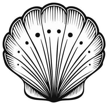 Elegant seashell illustration with detailed lines and geometric dot accents in monochrome
