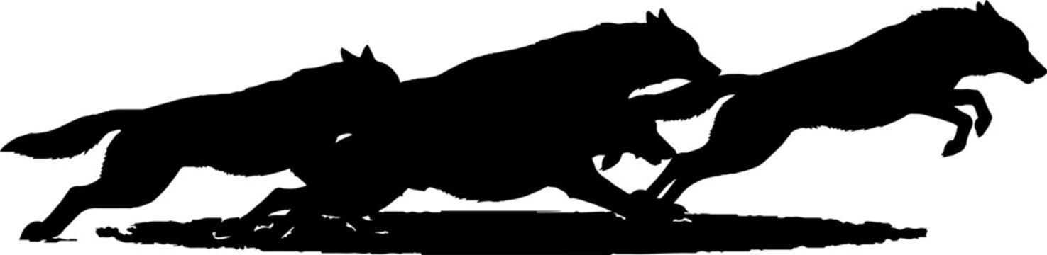 Silhouette of running wolves in dynamic motion.
