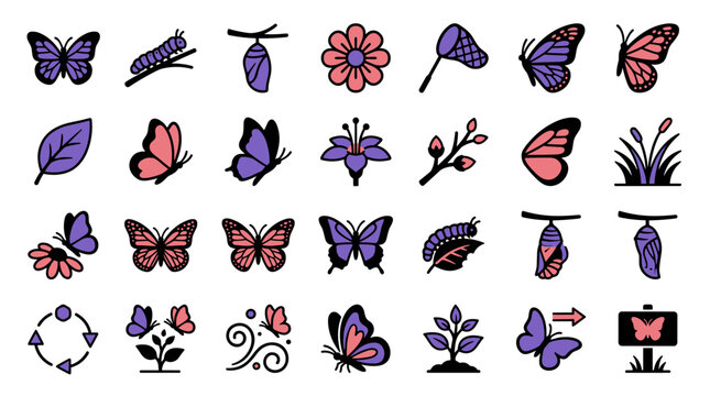 Vibrant insect and floral vector icons with butterflies flowers and leaves in a graphic style collection