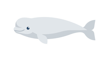 Cute Beluga Whale illustration, arctic marine mammal, isolated on white background © Atok