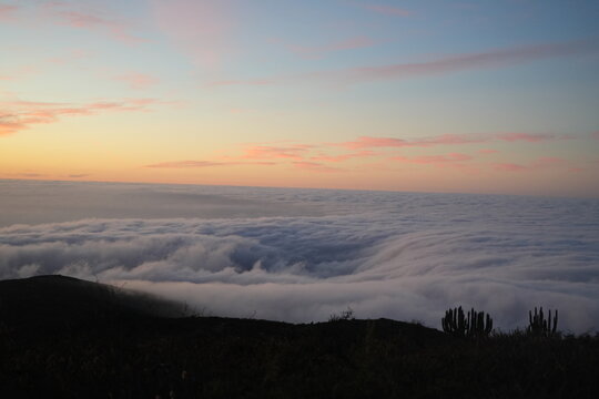 Mar de nubes iluminado por la luz del atardecer