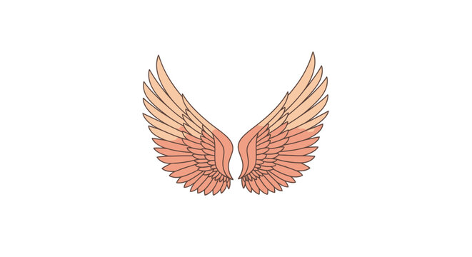 Beautiful Orange Colored Bird Wings Spread.