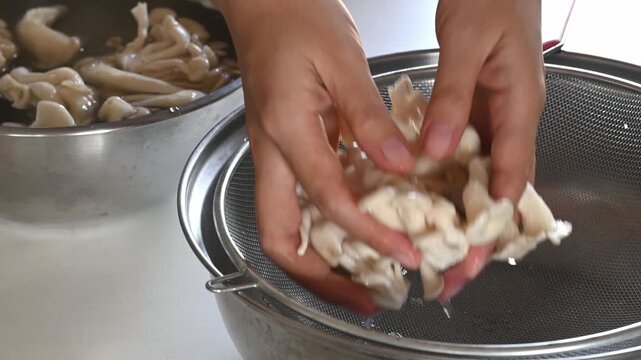 Close up of hands washing fresh oyster mushroom. Food preparation, healthy ingredient