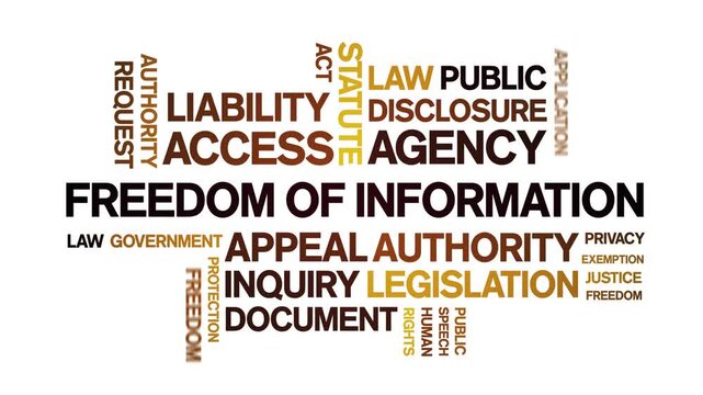 Freedom of information animated word cloud-text design animation tag kinetic typography seamless loop.