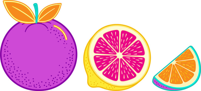 Vibrant Citrus Fruit Vector Set with Whole Purple Orange Sliced Pink Grapefruit Lemon and Fresh Juicy Orange Wedge Element for Food Design