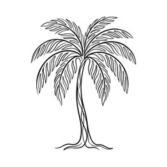 Tropical palm tree upright trunk full sketched fronds vector © EngAhmedPixel