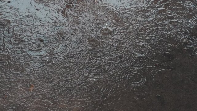 Close up view of raindrops falling into a puddle creating beautiful circular ripples in daylight - 비 내리는 날 바닥 물웅덩이 위로 빗방울이 떨어지며 잔잔한 동심원 물결을 그리며 번지는 풍경