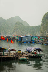Floating Fishing Village with Traditional Boats in Ha Long Bay, Vietnam © Katalin