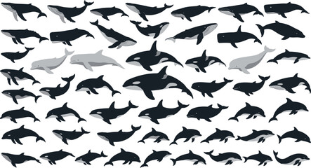 Mega Marine Wildlife Vector Silhouette Set Featuring Whales Orcas Humpbacks and Dolphins Graphic Elements for Ocean Conservation and Sea Life Travel Designs © Himel