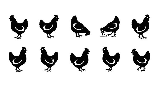 Animals and Travel  Illustration of Business Culture and Culture from Around The Lifestyle  World People'
description=