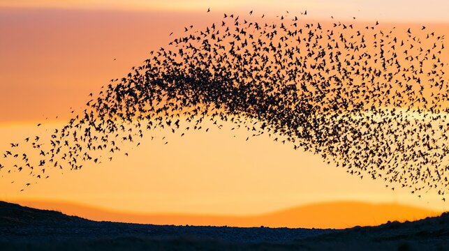 Starling Wave over Distant Hills