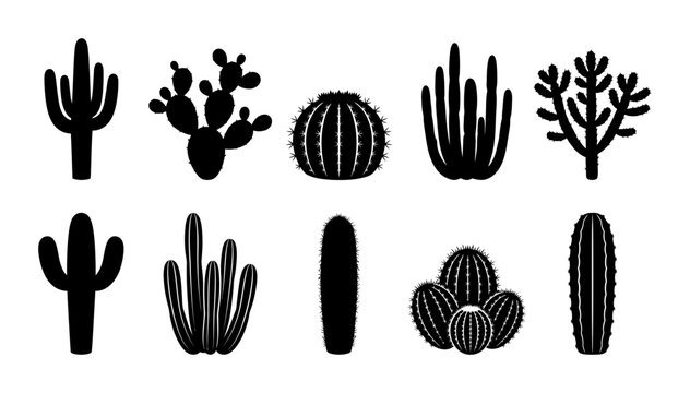 A collection of diverse cactus silhouettes, showcasing various species and shapes for design projects