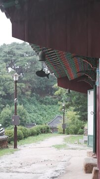 Cinematic vertical view of traditional Korean Silleuksa temple eaves with a fish wind chime under falling rain - 비 내리는 날 여주 신륵사 단청 처마 아래로 물고기 모양 풍경과 투명한 빗줄기가 고즈넉하게 떨어지는 사찰 풍경