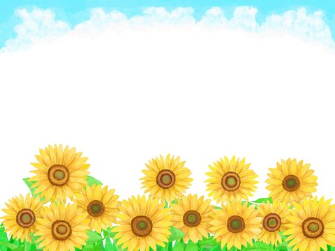 上下に入道雲の空とひまわり畑が広がる背景素材イラスト