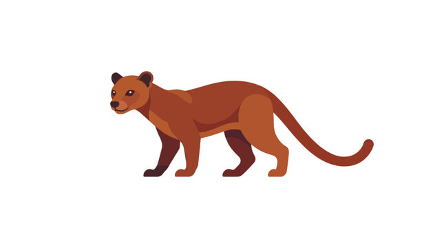 Fossa Animal Illustration, Madagascar Carnivore, Stylized Mammal