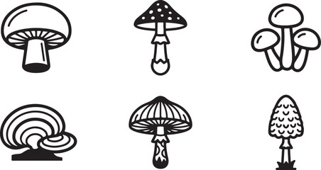 Six different types of mushrooms illustration set Vector © mahafuza