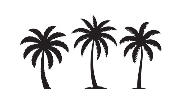 black and white silhouette set of palm tree very high quality vector illustration.