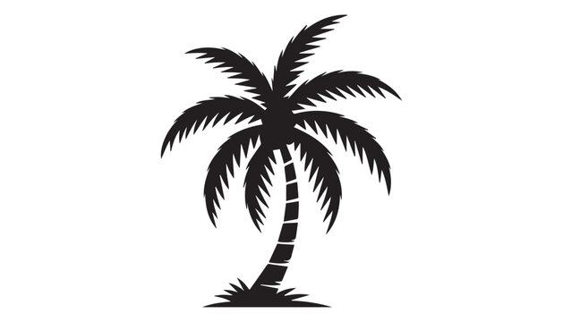 black and white silhouette of palm tree very high quality vector illustration.