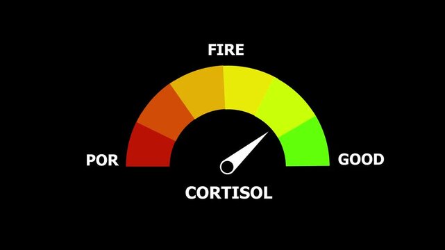 A semicircular gauge with a needle pointing towards the lower end of the scale labeled CORTISOL with color segments from red to green and text labels PORFIRE and GOD on a black
