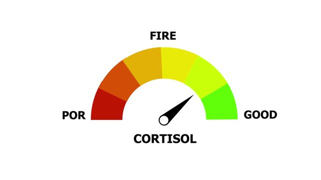 A semicircular gauge with a needle pointing towards the lower end of the scale, indicating a high level of cortisol, with color segments ranging from red to green and labels for ' POR', ' FIR