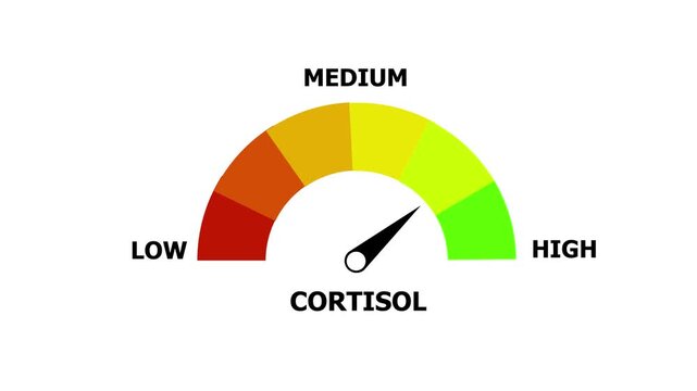 A semi-circular gauge displaying the cortisol level with a needle pointing towards the medium range, featuring color-coded segments from red for low to green for high, set against a clean white