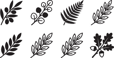 Black and white botanical leaf and berry vector illustrations set Vector © mahafuza