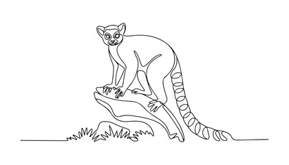 One continuous line illustration of an ring-tailed lemur animal , isolated on white background. © line