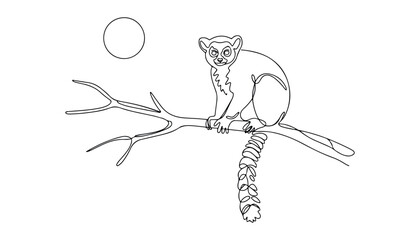 One continuous line illustration of an ring-tailed lemur animal , isolated on white background. © line