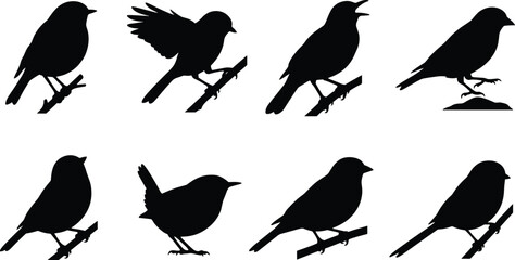 Obraz premium Small Songbird Silhouette Collection with Perching and Singing Bird Poses