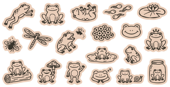 Set of cute frog and toad stickers in various poses and stages of life, including tadpoles and eggs, with insects and lily pad.