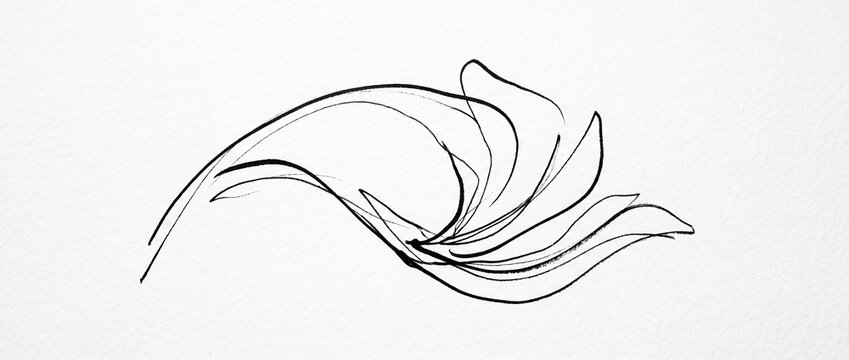 Minimal abstract ink sketch with simple black and white lines