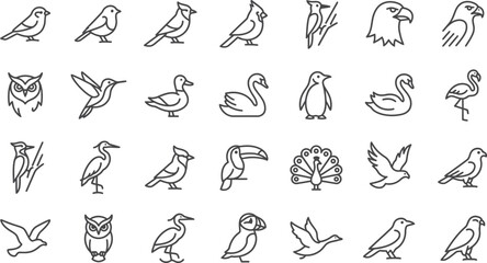 Fototapeta premium Collection Of Bird Line Icons On A White Background
