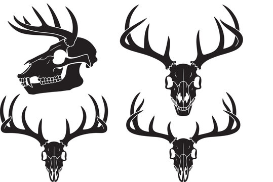 Deer skull and antlers set black silhouettes on transparent background in flat style.