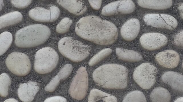 White coral stones in a modern garden landscaping design