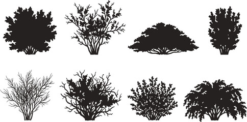 Bush Silhouette Collection Featuring Ornamental Shrubs Hedges and Decorative Garden Plants Set © MstSumaiyaAkter