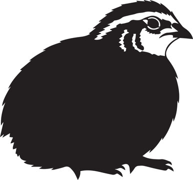 Quail bird silhouette black vector illustration isolated on white background