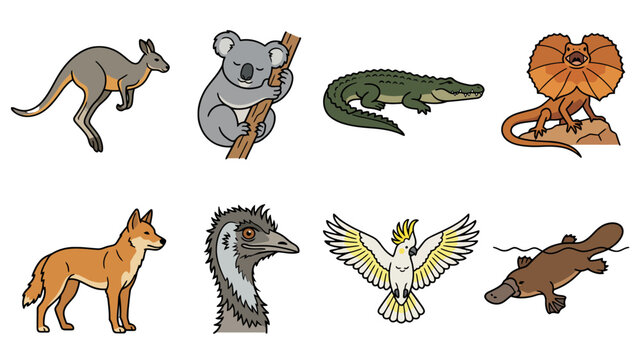 Australian Animals Vector Icon Set Featuring Kangaroo Koala Emu Platypus Dingo Lizard and Cockatoo