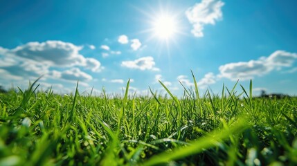 Obraz premium A patch of fresh green grass under a sunny sky, symbolizing the simplicity and purity of living a healthy life