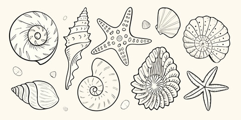Seashells And Starfish Line Art Illustration Detailed Black And White Sketch © Ripa