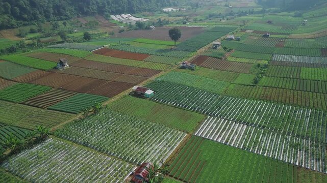 Aerial view of lush green agricultural fields and farm huts nestled in a valley under a hazy sky in Sukabumi, West Java, Indonesia.