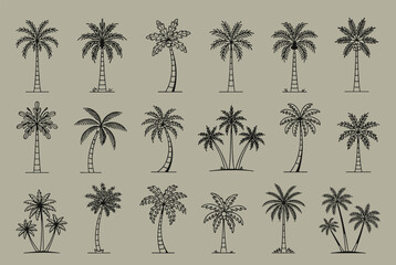 Fototapeta premium Comprehensive collection of various palm tree species is presented in simple black line art silhouettes against a neutral olive background.